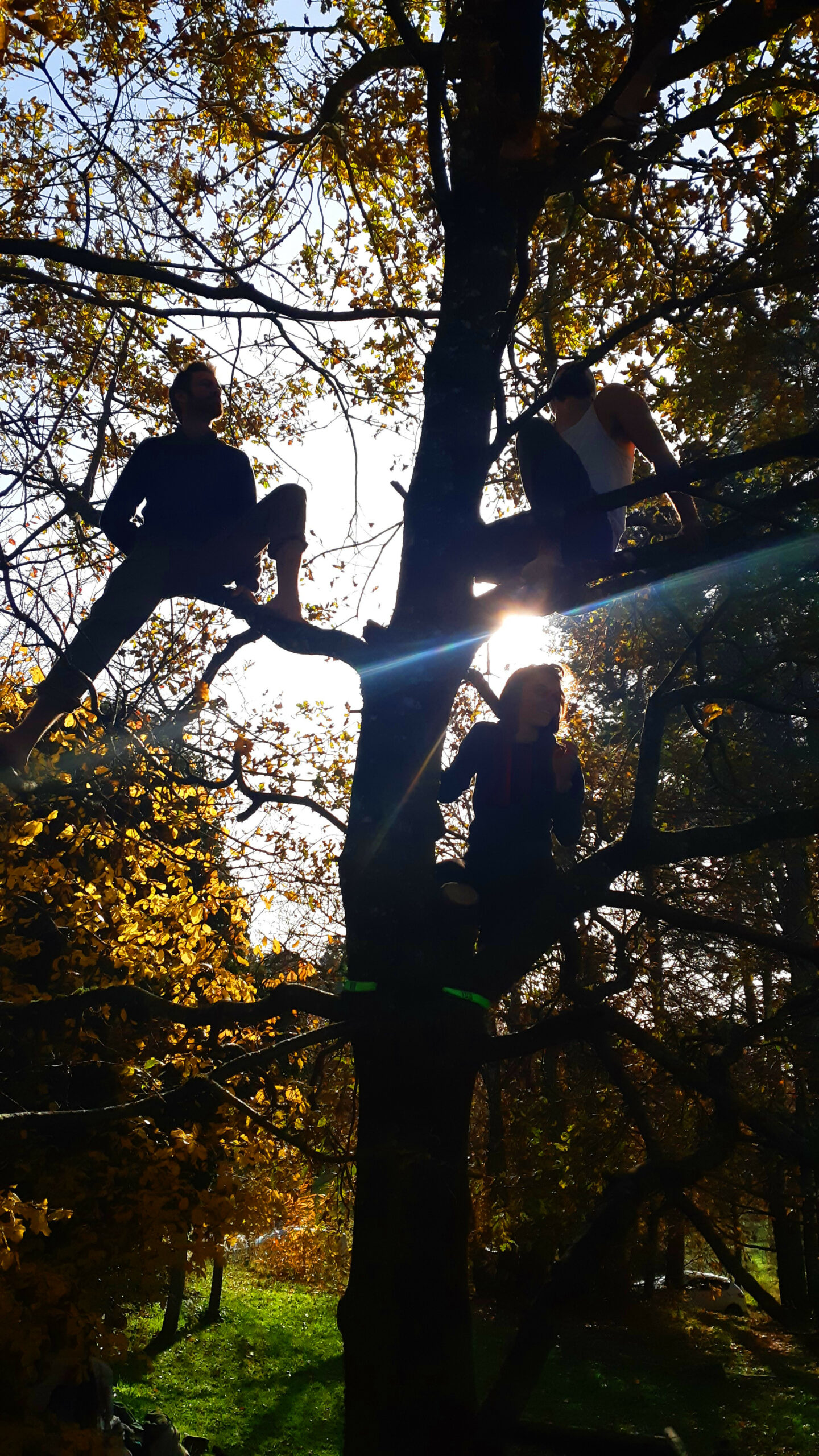 Grimpe arboricole 08 trois personnes dans un chêne